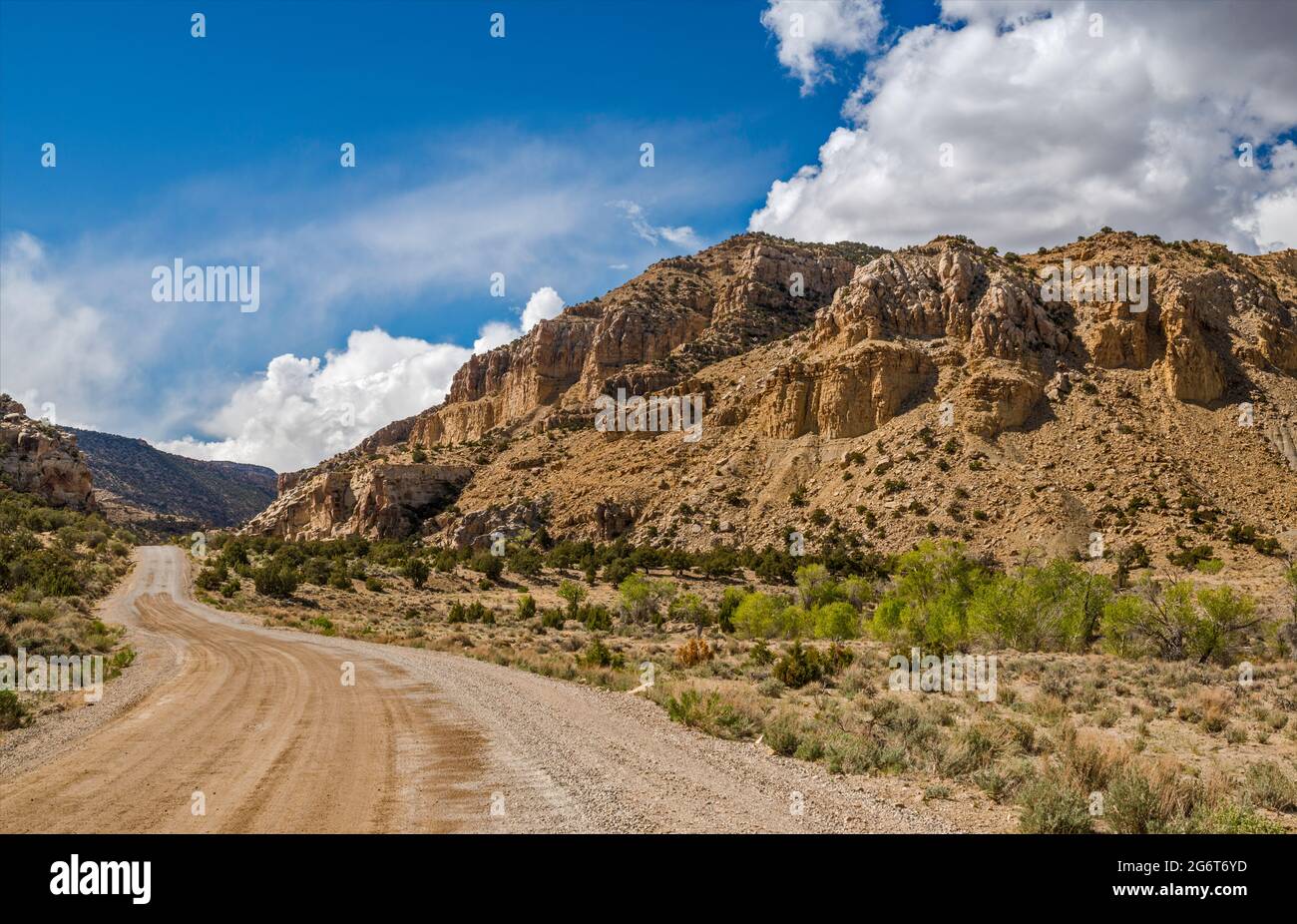 Ferron Canyon, Biddlecome Ridge, Road 22, Wasatch Range, vicino alla città di Ferron, Utah, Stati Uniti Foto Stock