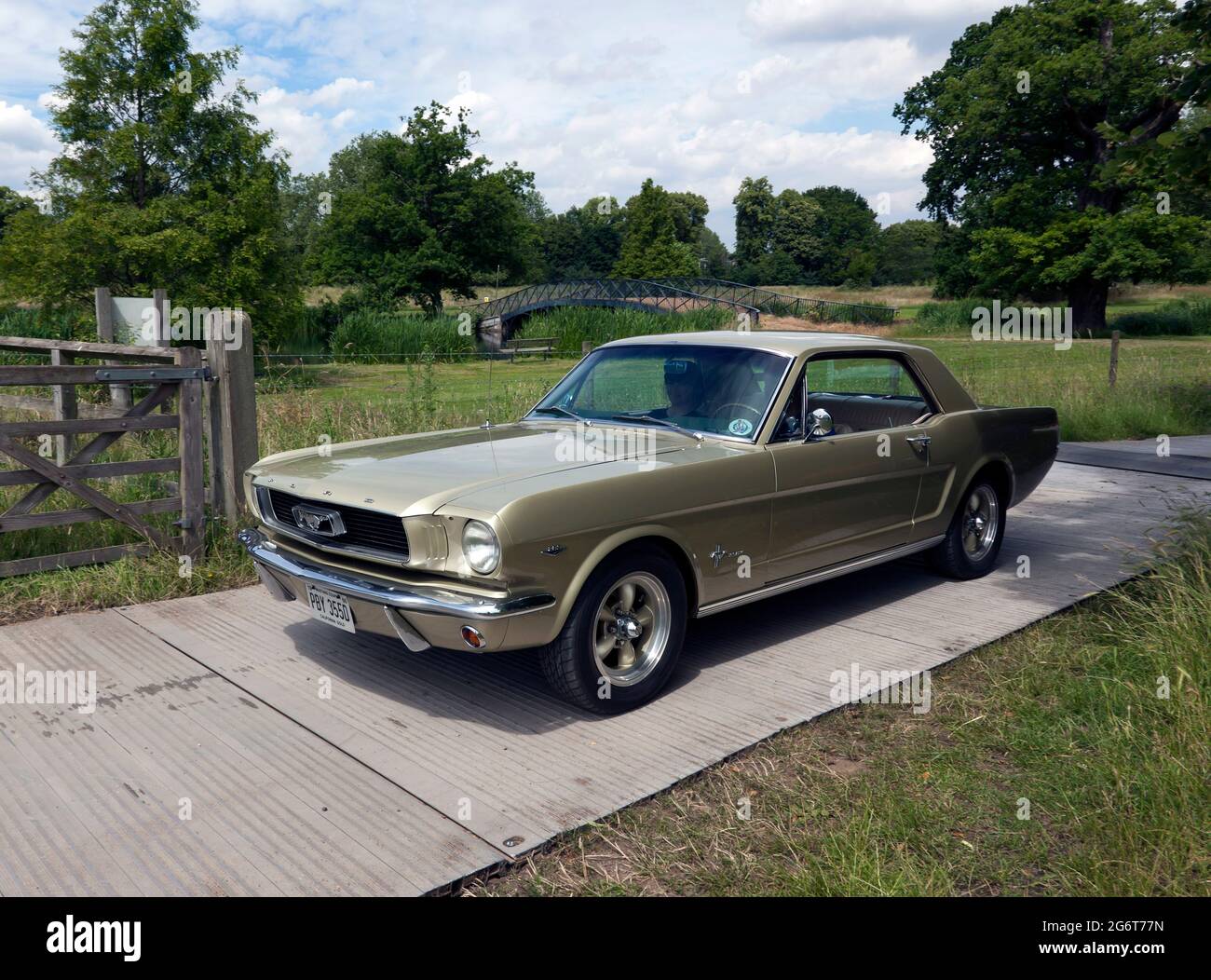 A Gold, 1966, Ford Mustang Coupe, in mostra al London Classic Car Show 2021 Foto Stock