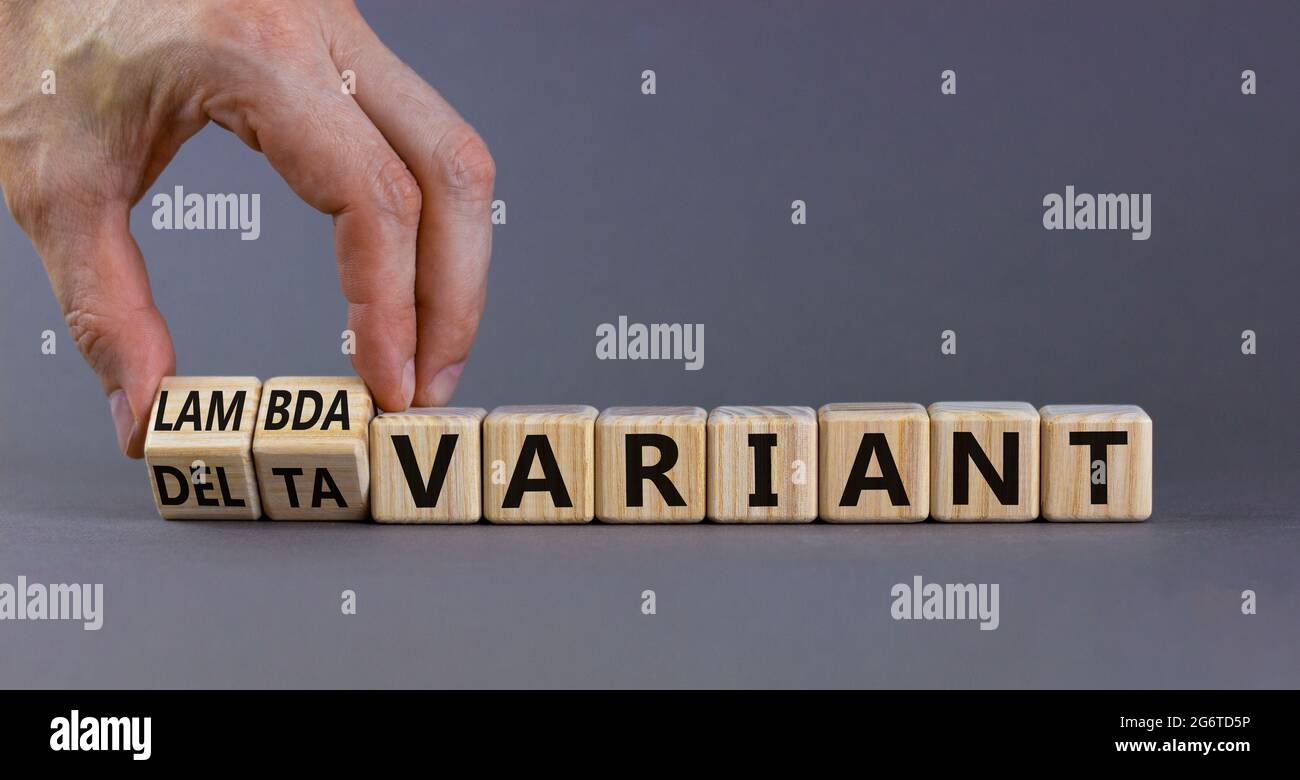 Simbolo variante delta o lambda Covid-19. Il medico trasforma i cubi, cambia le parole delta variante in lambda variante. Splendido sfondo grigio, spazio per la copia. Med Foto Stock