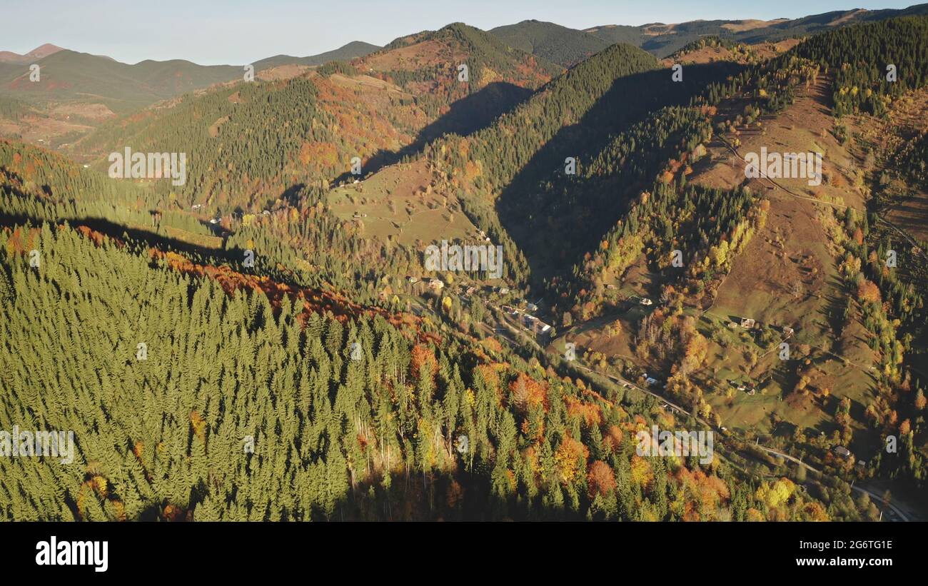 Sole alberi autunnali in cima alla montagna. Nessuno aereo natura paesaggio in campagna. Strada a case in valle del monte. Verde, giallo abeti rurali e frondoso bosco ai crinali Carpazi, Ucraina, Europa Foto Stock