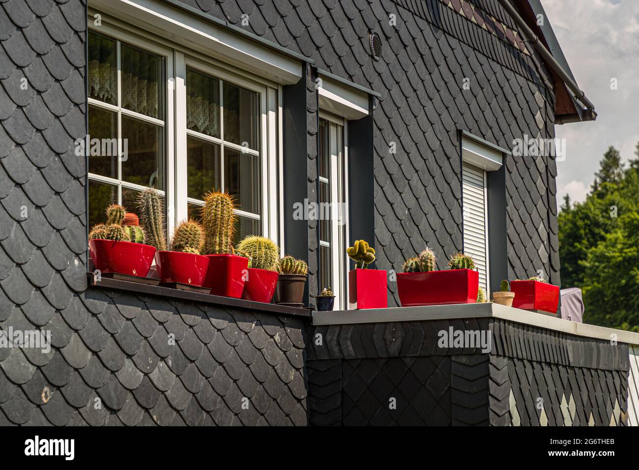 Cactus in vasi di fiori rossi sul davanzale di una casa di ardesia a  Steinach, Germania Foto stock - Alamy