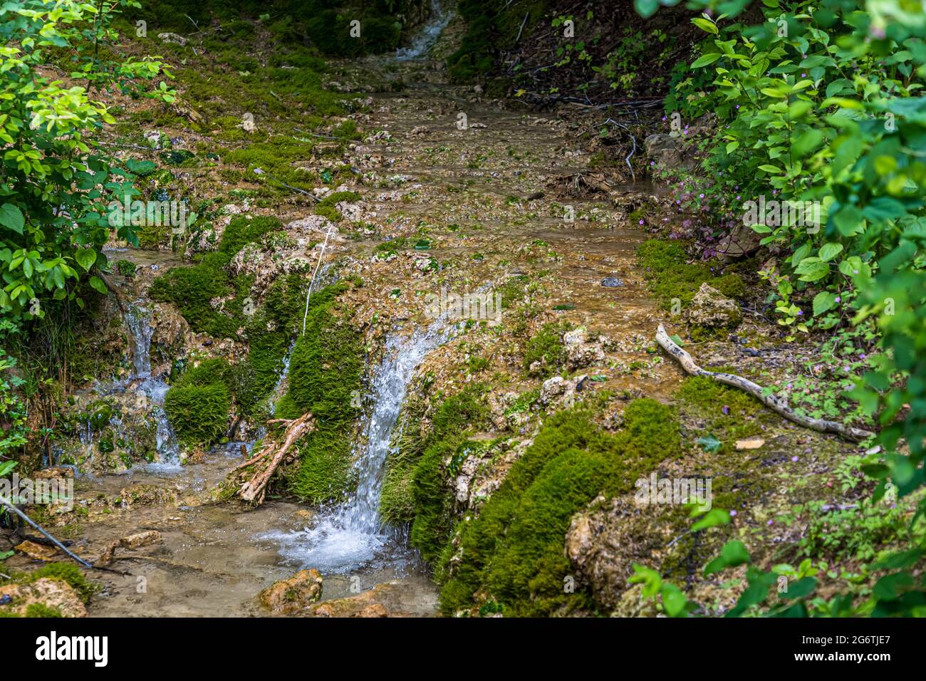 Terrazze di Sinter con depositi di tufo calcareo poroso nel fiume Itz a rödental, Germania Foto Stock