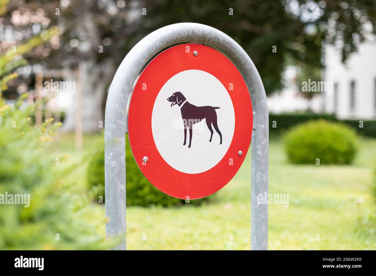 Nessun segno del cane a chur, svizzera Foto Stock