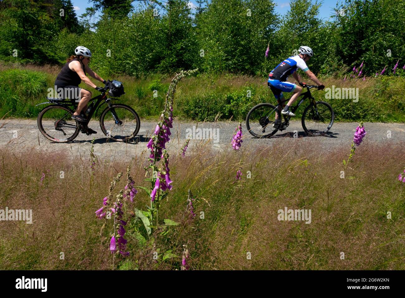 I ciclisti cavalcano una bicicletta nelle montagne Lusaziane della Repubblica Ceca Foto Stock