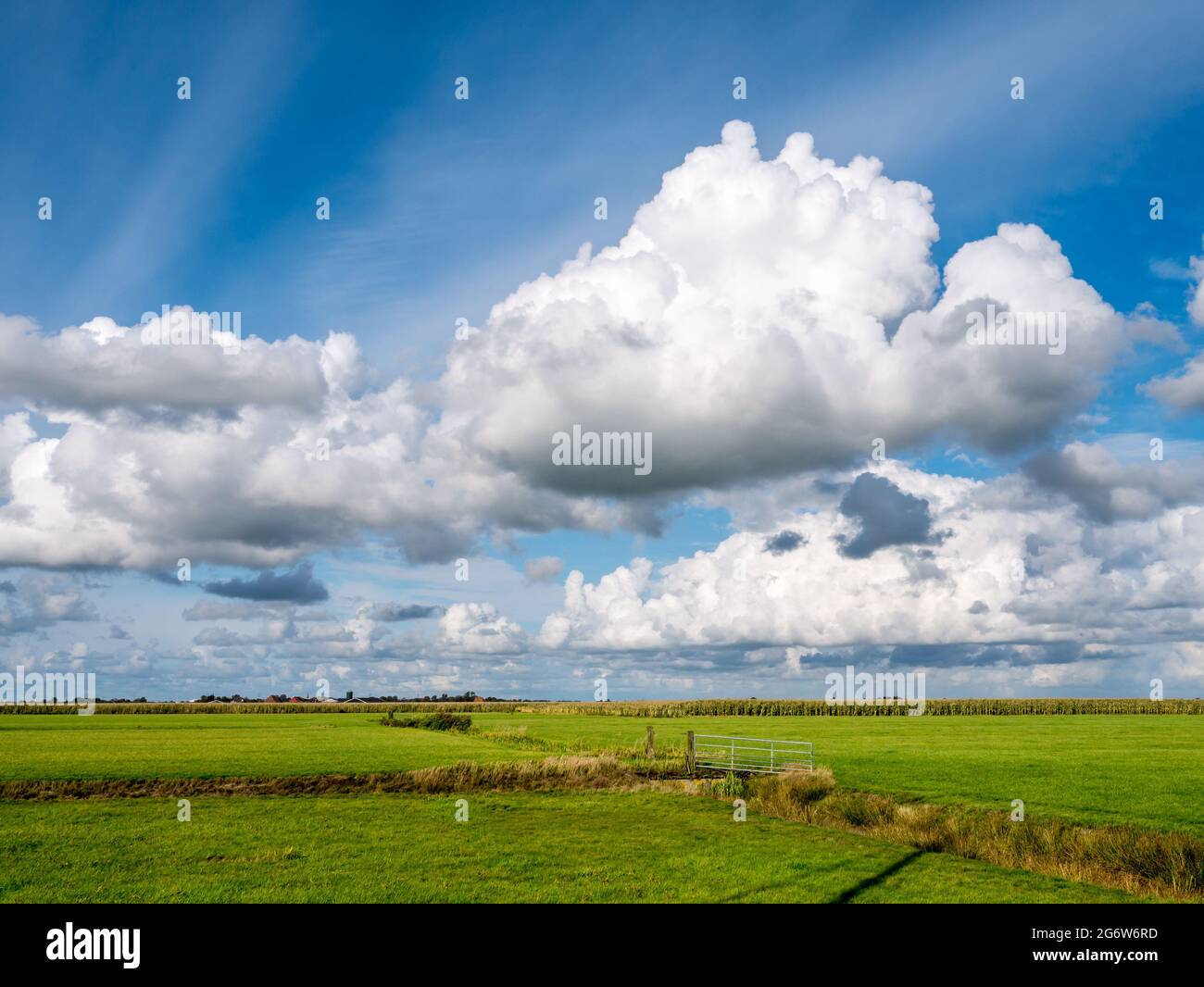 Cumulus nuvole e polder paesaggio con prati vicino Grou, Friesland, Paesi Bassi Foto Stock