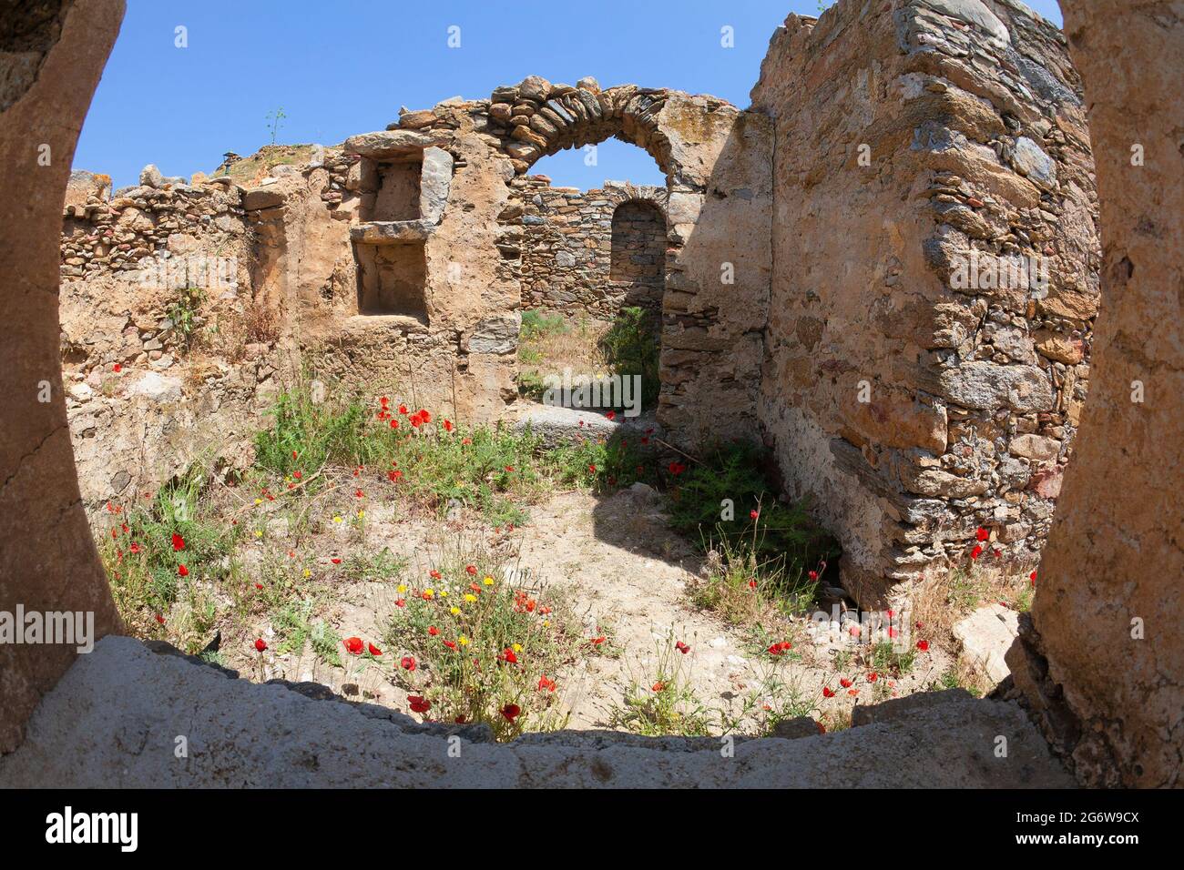 Papaveri rossi che crescono all'interno delle pareti in pietra e degli archi di una vecchia rovina greca all'interno dell'isola di Mykonos Foto Stock