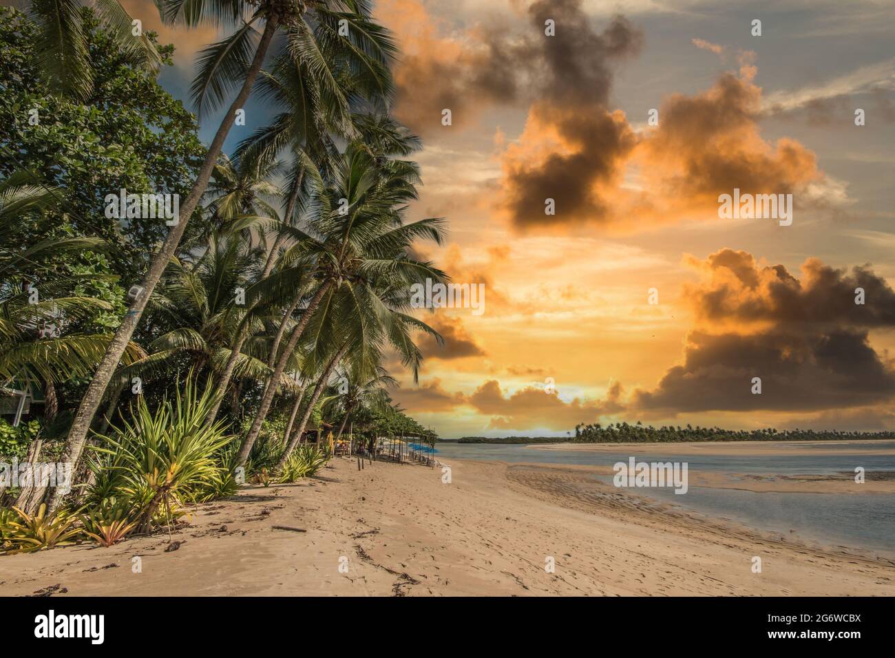 Isola tropicale di Boipeba nel nord-est del Brasile in Bahia. Foto Stock
