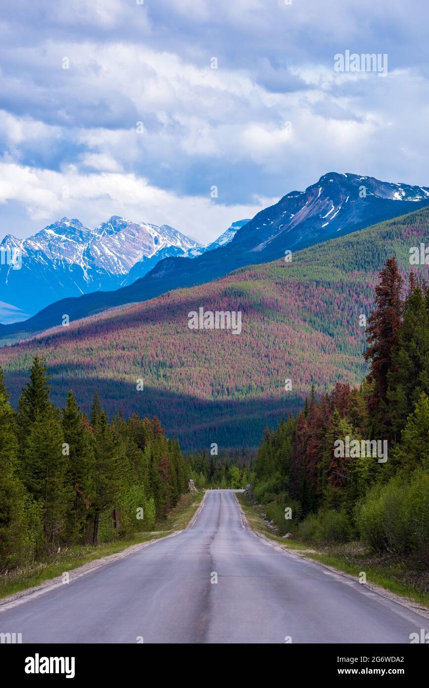 Strada sulle montagne delle montagne rocciose canadesi Foto Stock