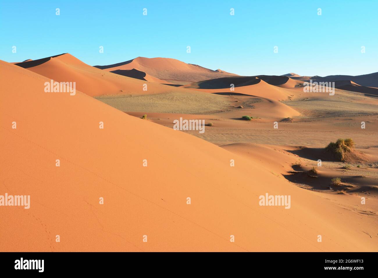 NAMIBIA. DESERTO DEL NAMIB. LE DUNE DI SOSSUSVLEI SONO TRA LE PIÙ ALTE DEL MONDO. SOLO UN PAIO DI LORO POSSONO ESSERE SALITI DAI VISITATORI. Foto Stock