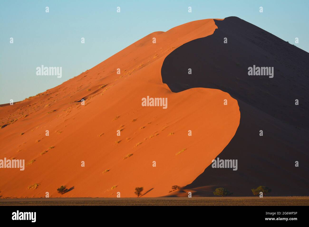 NAMIBIA. DESERTO DEL NAMIB. LE DUNE DI SOSSUSVLEI SONO TRA LE PIÙ ALTE DEL MONDO. SOLO UN PAIO DI LORO POSSONO ESSERE SALITI DAI VISITATORI. Foto Stock