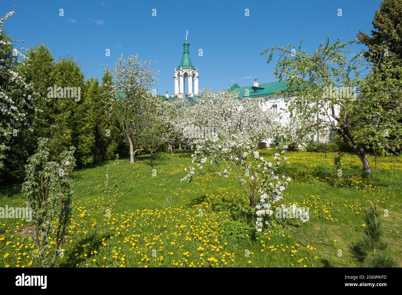 Alberi in fiore nel monastero di Spaso-Yakovlevsky in una giornata di sole nella città di Rostov, nella regione di Yaroslavl, Russia. Foto Stock