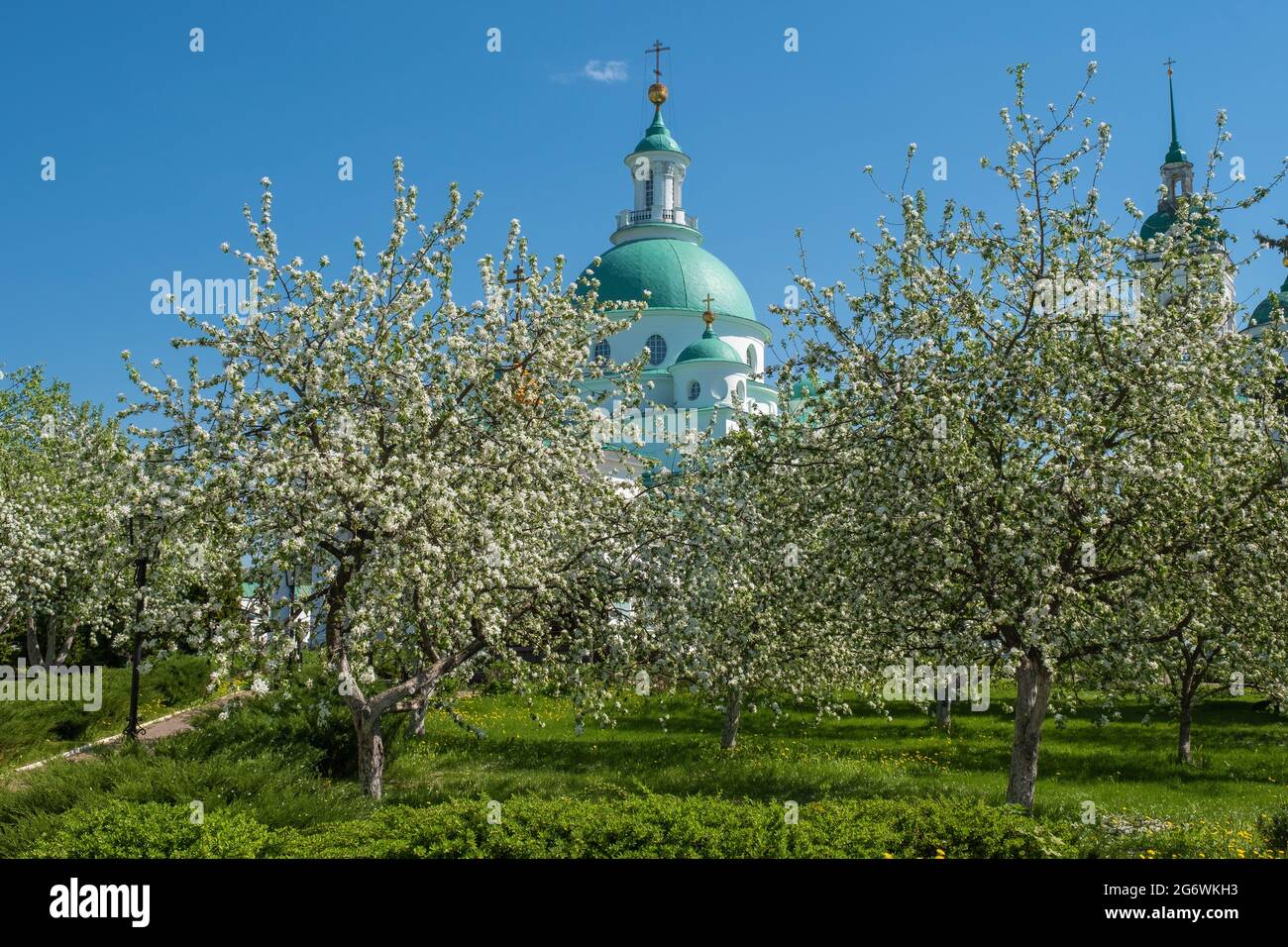 Alberi in fiore nel monastero di Spaso-Yakovlevsky in una giornata di sole nella città di Rostov, nella regione di Yaroslavl, Russia. Foto Stock