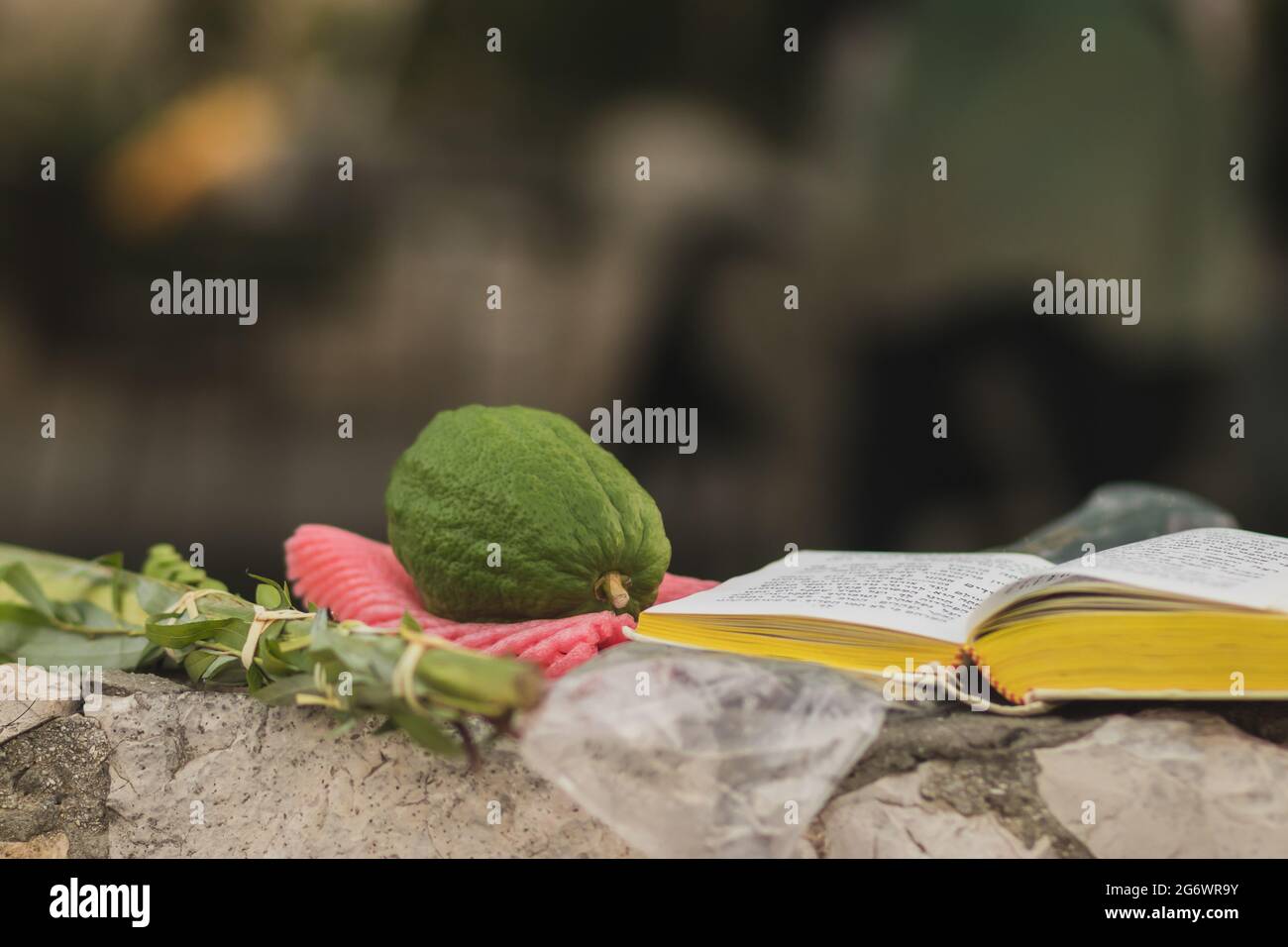 gerusalemme-israele, 04-10-2020. Le quattro specie (etrog, lulav, mirto, salice) sono un mitzvah ebreo su Sukkot. Stese accanto ad un libro di preghiera, su una pietra fe Foto Stock