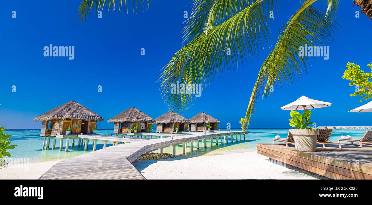 Hotel di lusso con ville sull'acqua e foglie di palme su sabbia bianca, vicino al mare blu, mare. Sedie a sdraio, lettini, ombrelloni bianchi. Vacanze estive Foto Stock