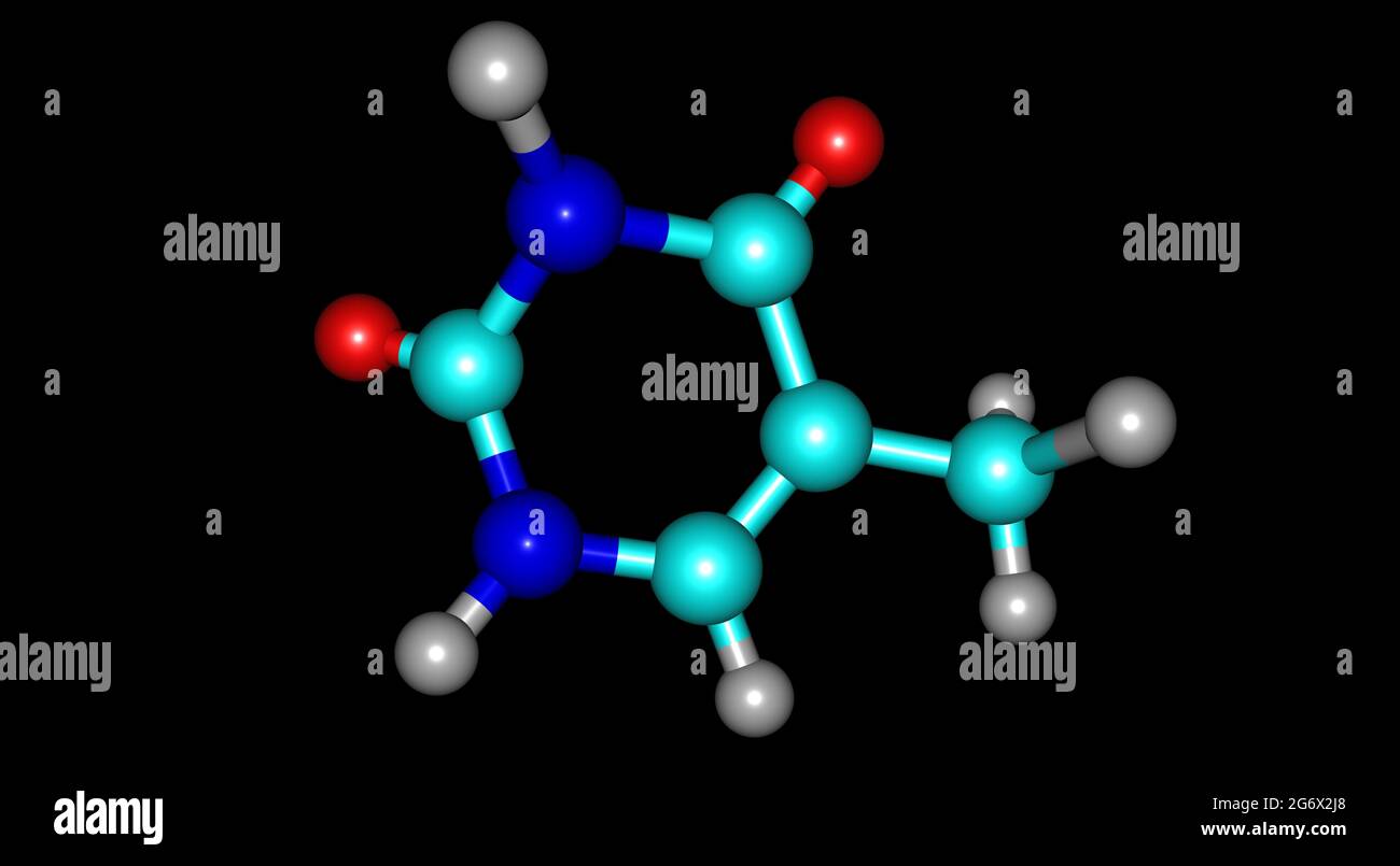 La timina è una pirimidina nucleobasi che è uracile in cui l'idrogeno in posizione 5 è sostituito da un gruppo metile. illustrazione 3d Foto Stock