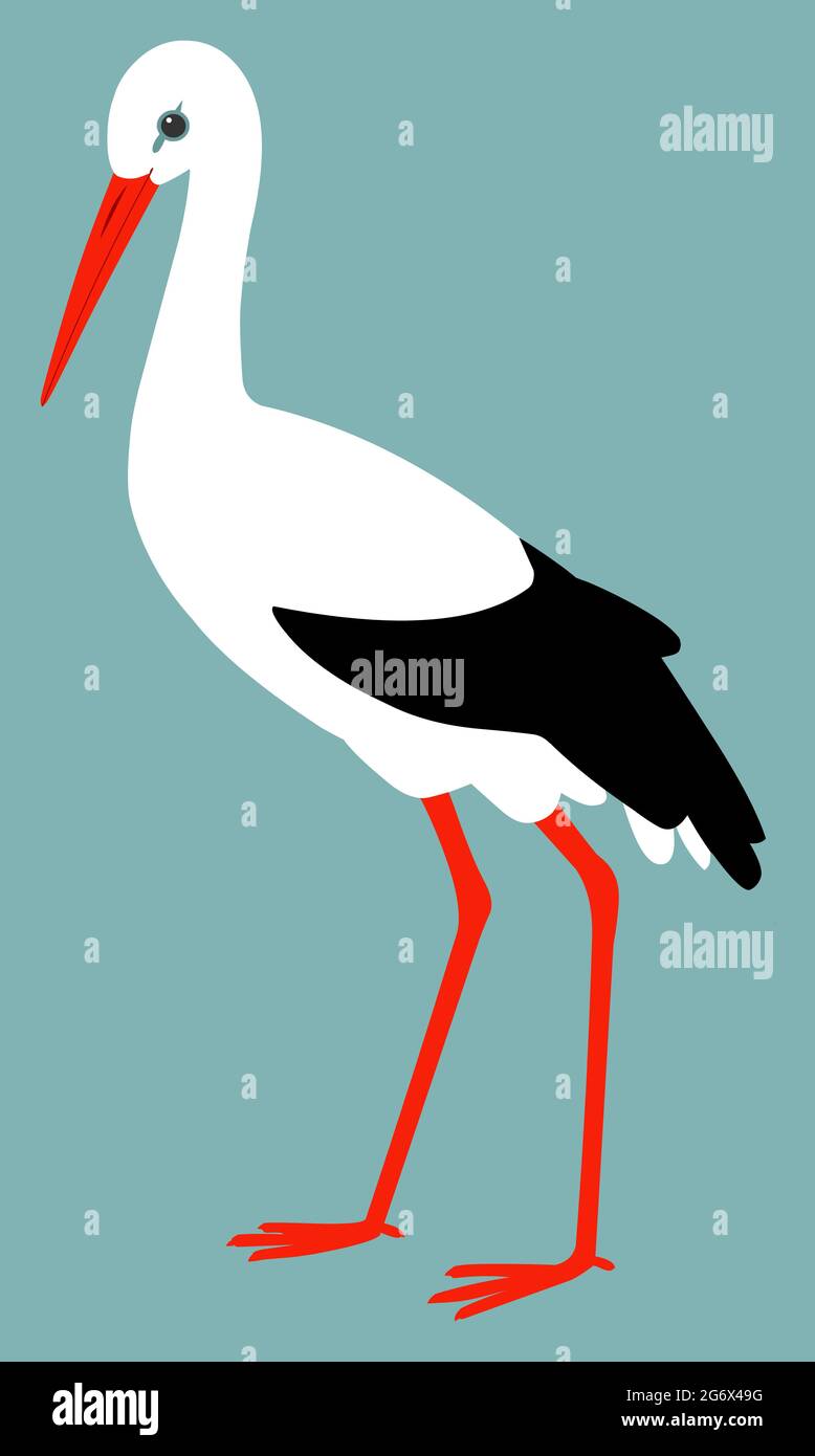 Cicogna, illustrazione di uccelli Foto Stock