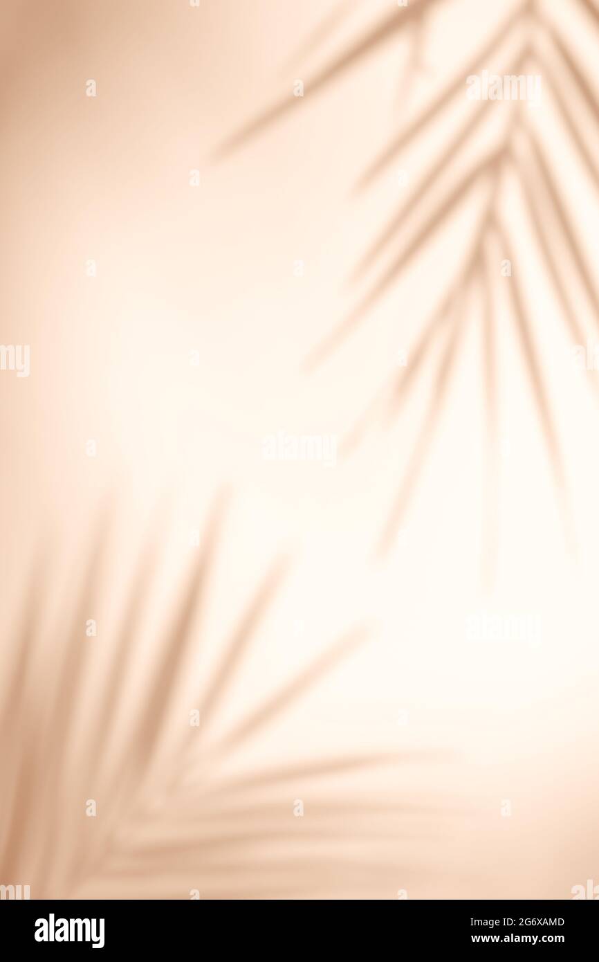 Effetto di sovrapposizione delle ombre. Ombre di palme tropicali e foglie su una parete beige alla luce del sole. Luce solare soffusa. Telaio vuoto per la progettazione. Foto Stock