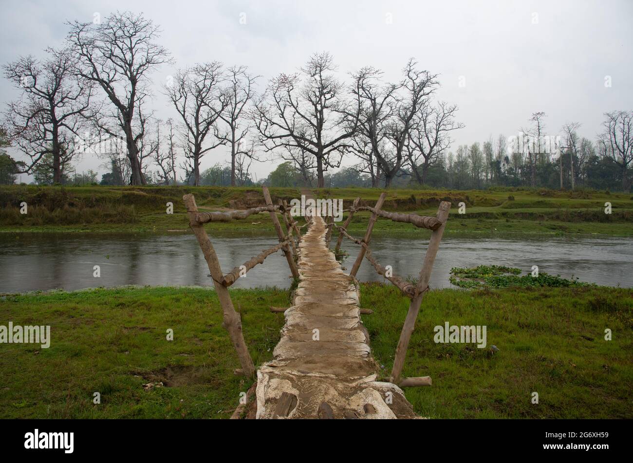 Ponte a piedi in legno sospeso sul fiume nella foresta tropicale. Parco safari Chitwan Nepal Asia Foto Stock