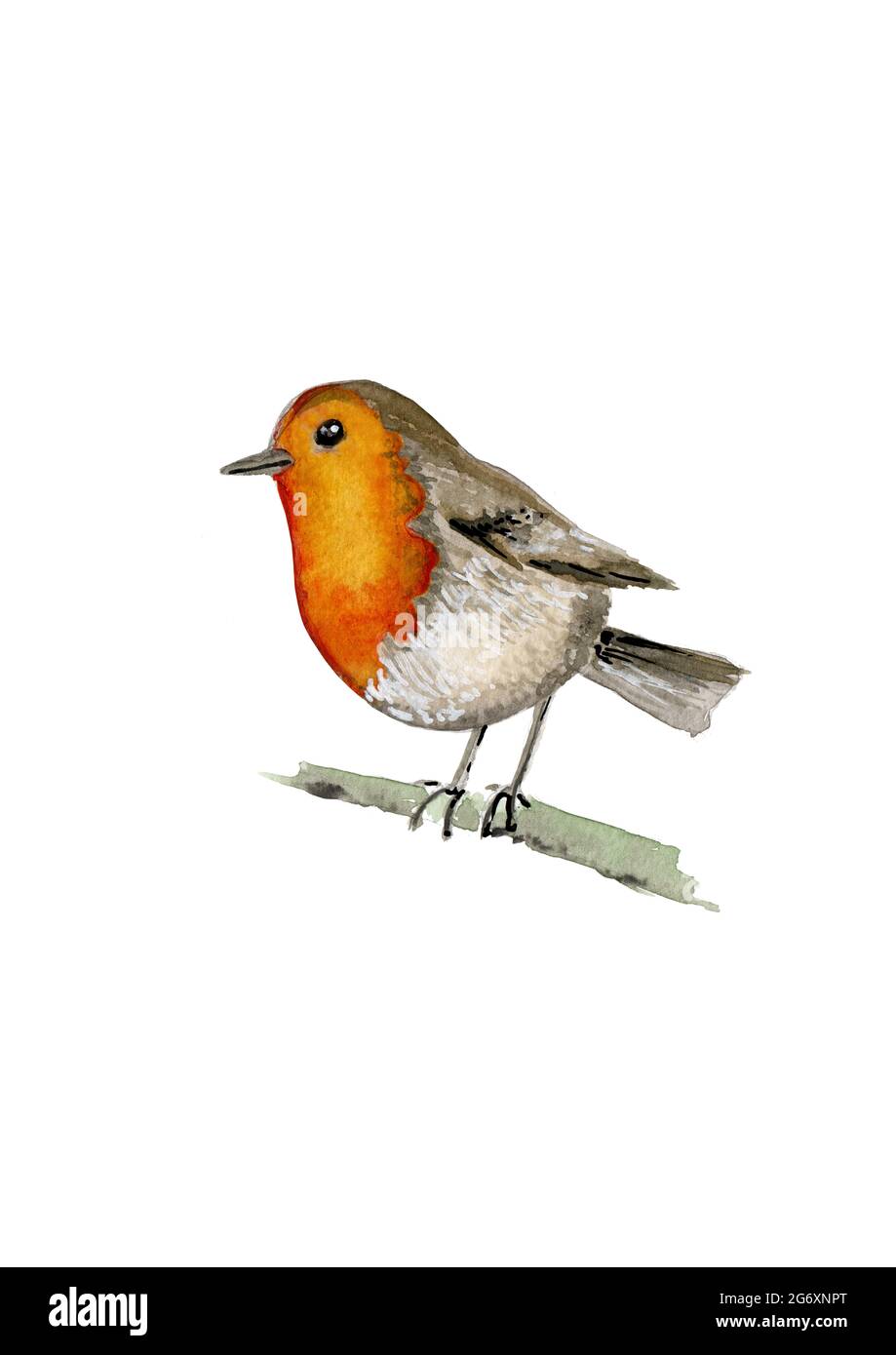 Acquerello dipinto a mano di un uccello robin appollaiato su un ramoscello, isolato su uno sfondo bianco Foto Stock