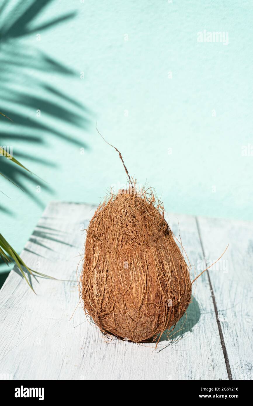 Cocco, una frutta tropicale su uno sfondo chiaro, moderno sparo minimal. Foto Stock