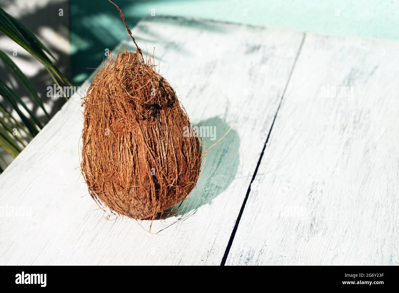 Cocco, una frutta tropicale su uno sfondo chiaro, moderno sparo minimal. Foto Stock