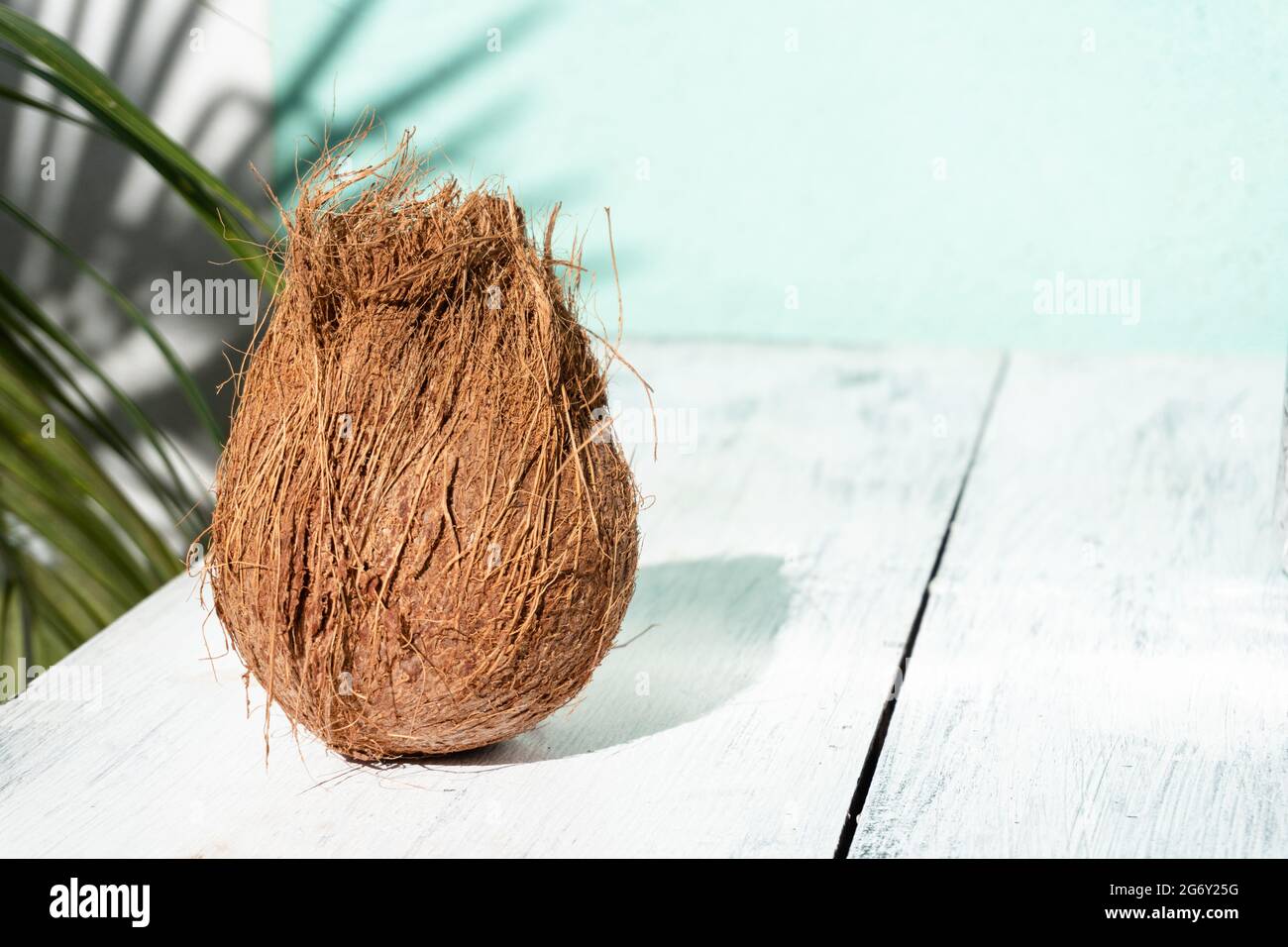 Cocco, una frutta tropicale su uno sfondo chiaro, moderno sparo minimal. Foto Stock