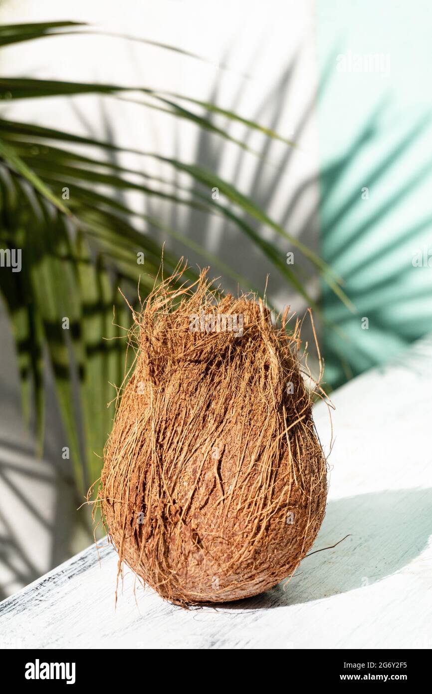 Cocco, una frutta tropicale su uno sfondo chiaro, moderno sparo minimal. Foto Stock