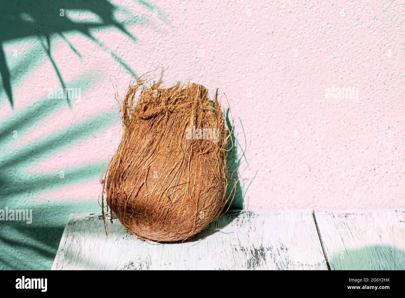 Cocco, una frutta tropicale su uno sfondo chiaro, moderno sparo minimal. Foto Stock