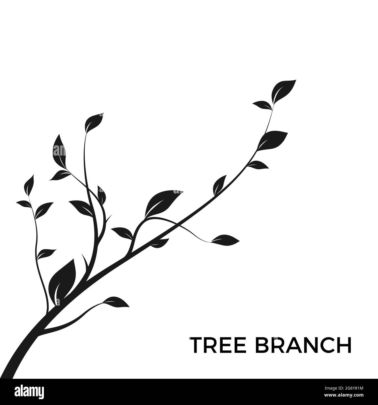 Ramo dell'albero di silhouette. Bush silhouette isolato su sfondo bianco con un sacco di foglie. Elemento di design della decorazione. Illustrazione vettoriale Illustrazione Vettoriale