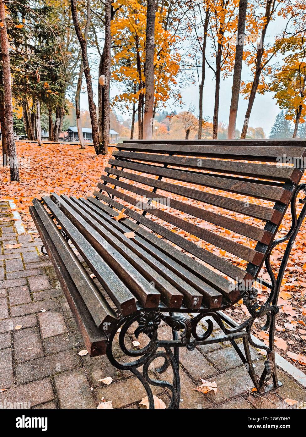 Solitario panca in legno sul sentiero nel parco autunnale. Cambiamento di stagione, concetto di tempo autunnale Foto Stock