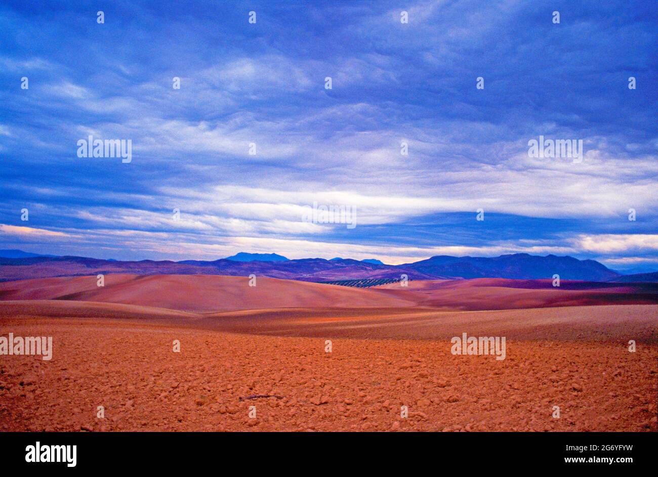 Spagna, Andalusia, autunno, paesaggio agricolo, con sciiy moody, Foto Stock