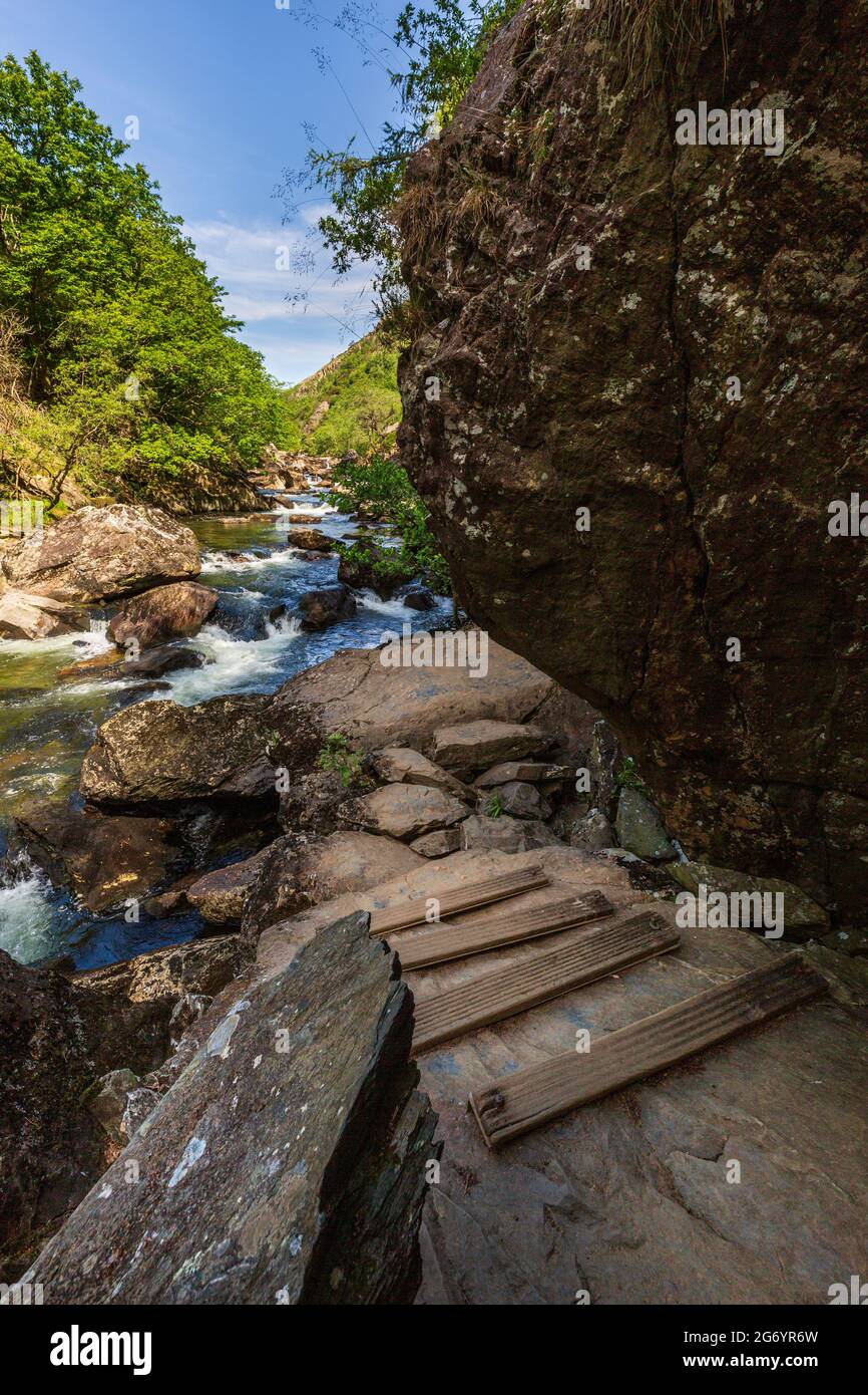 Passi sul sentiero lungo il fiume Glaslyn nel Passo di Aberglasyn, Snowdonia National Park, Galles del Nord Foto Stock