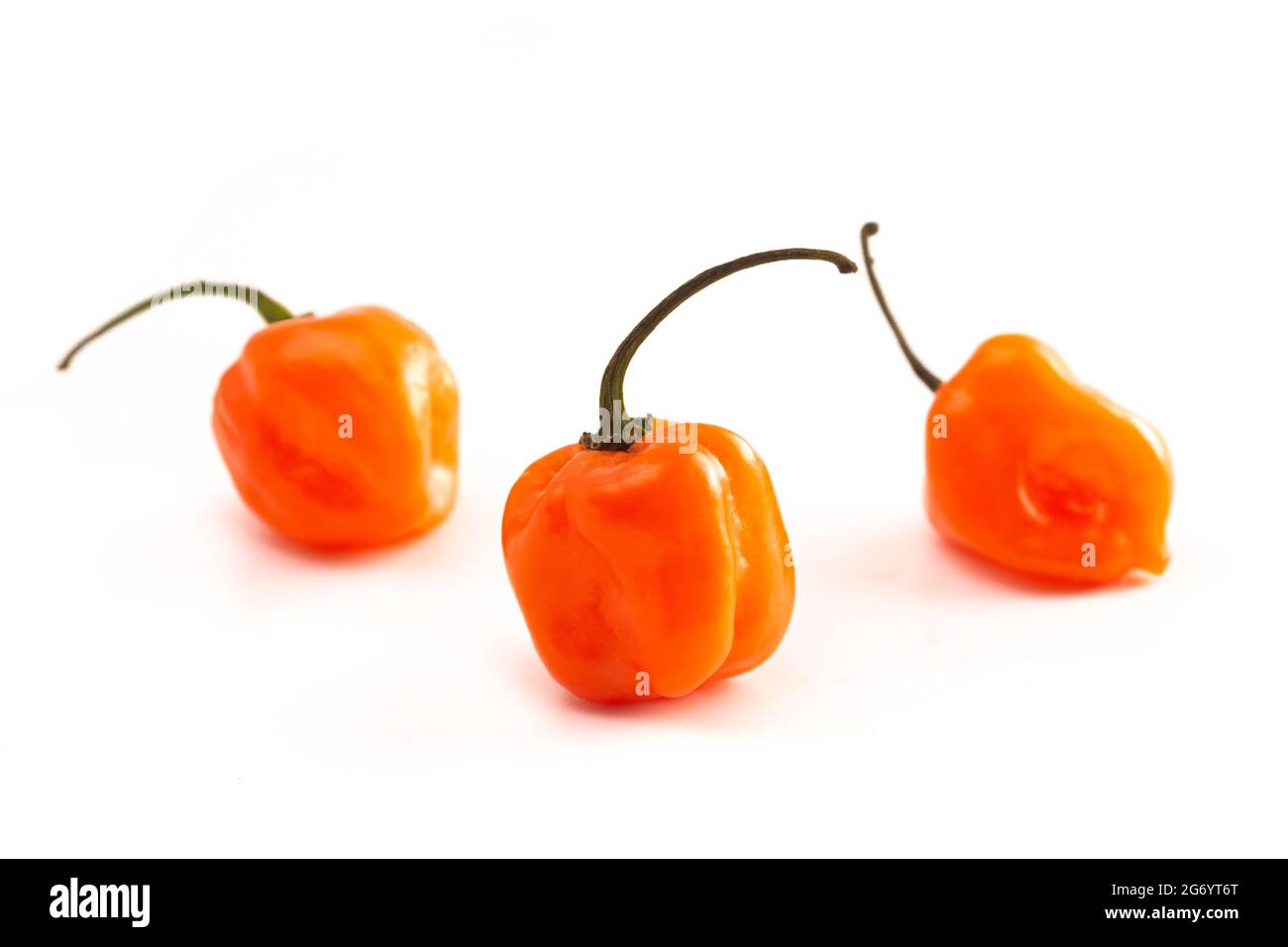 Peperoncino arancione estremamente piccante isolato su uno sfondo bianco Foto Stock