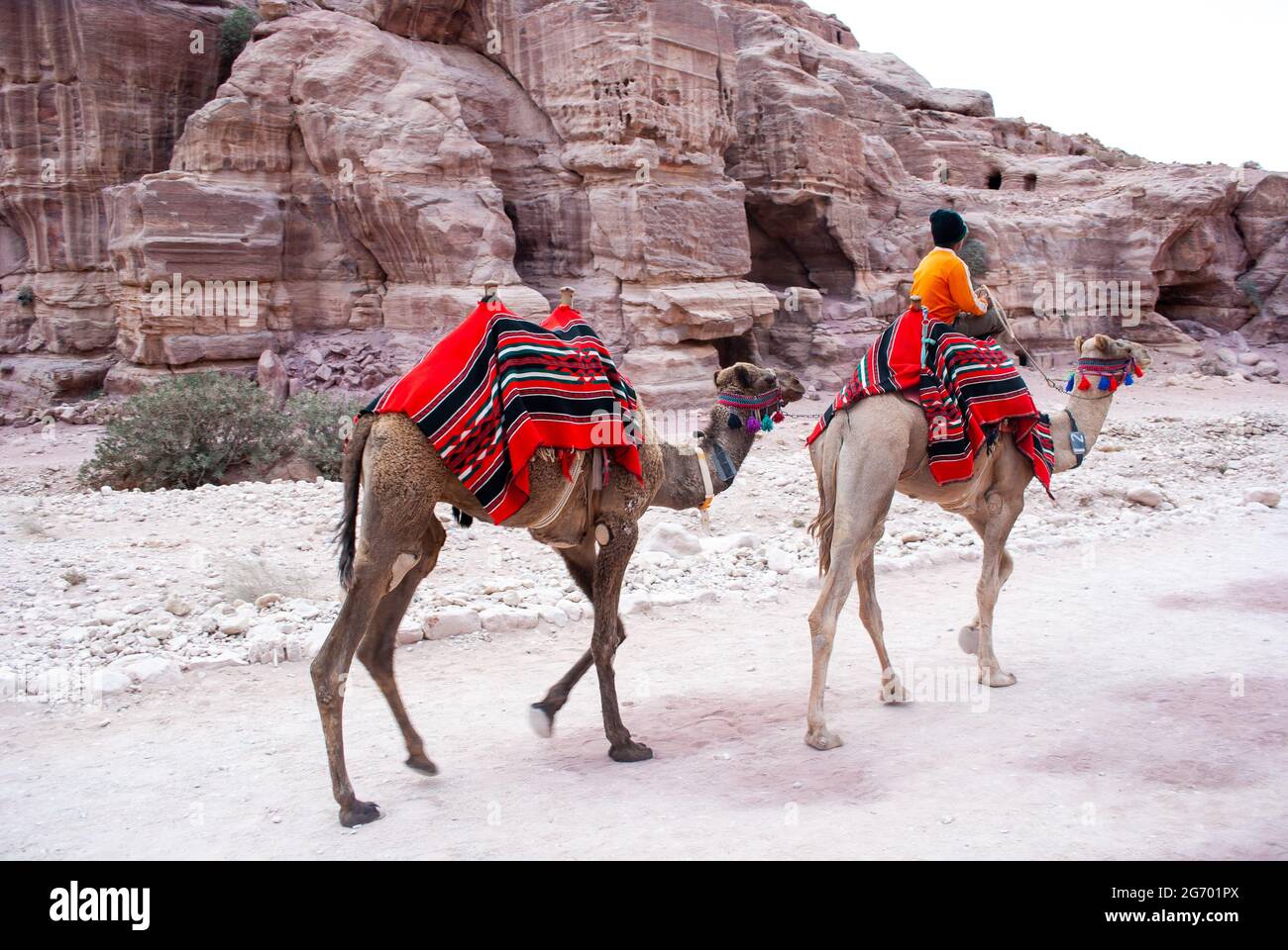 L'antica città di Petra in Giordania divenne una delle 7 nuove