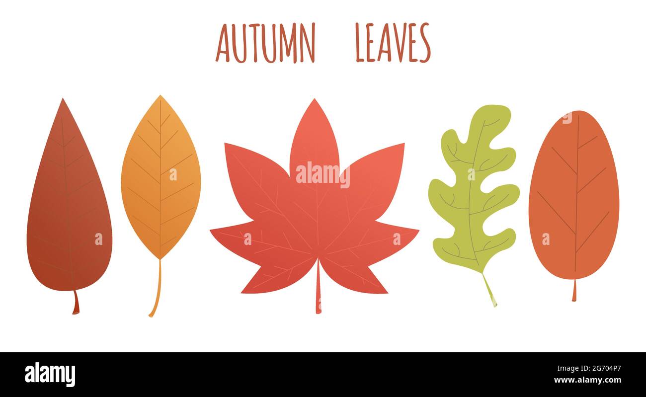 Set di foglie autunnali in diversi colori. Illustrazione di stile piatto vettoriale. Illustrazione Vettoriale