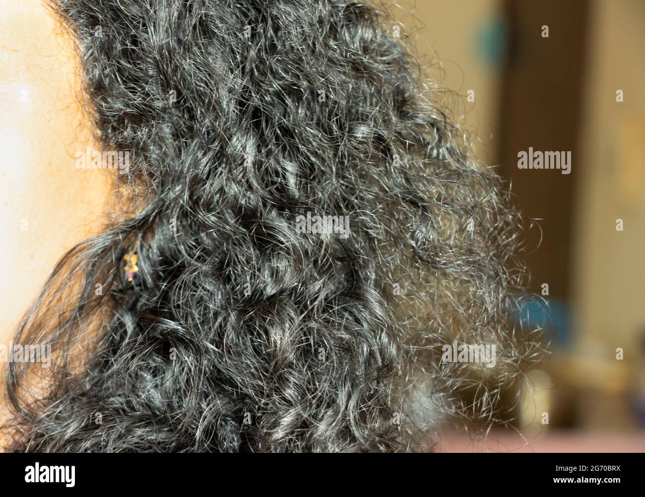 Immagine closeup dei capelli neri ricci della donna indiana. Messa a fuoco selettiva Foto Stock