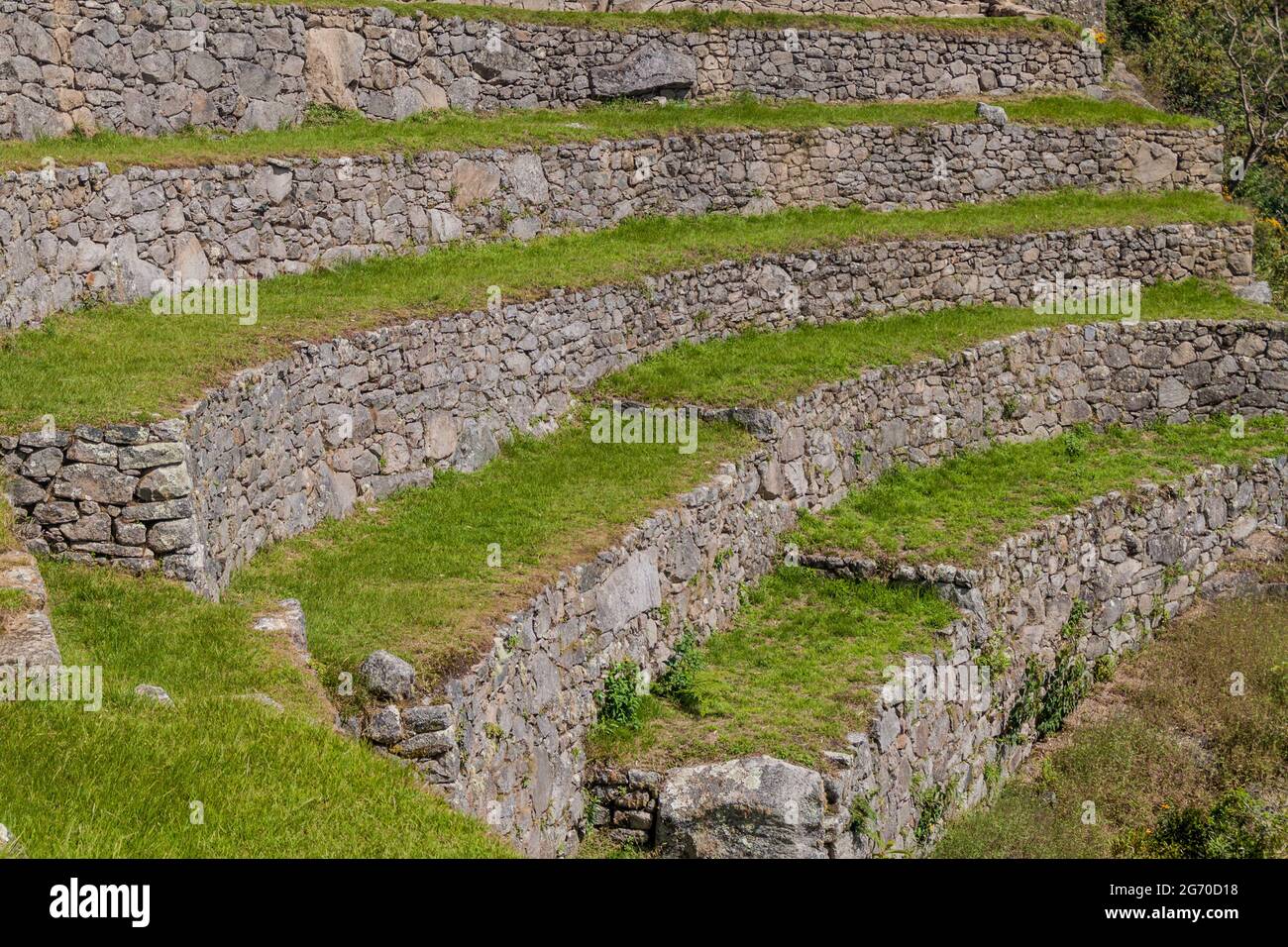 Ex terrazze agricole a Machu Picchu rovine, Perù. Foto Stock