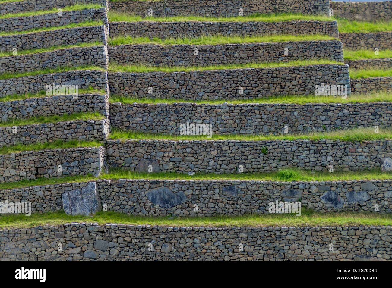 Ex terrazze agricole a Machu Picchu rovine, Perù Foto Stock