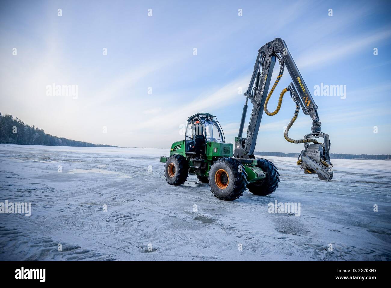 Bielorussia - 02.02.2015 - raccolto nel bosco. Raccolta di legno. Legna da ardere come fonte di energia rinnovabile. Agricoltura e silvicoltura tema. Foto di alta qualità Foto Stock