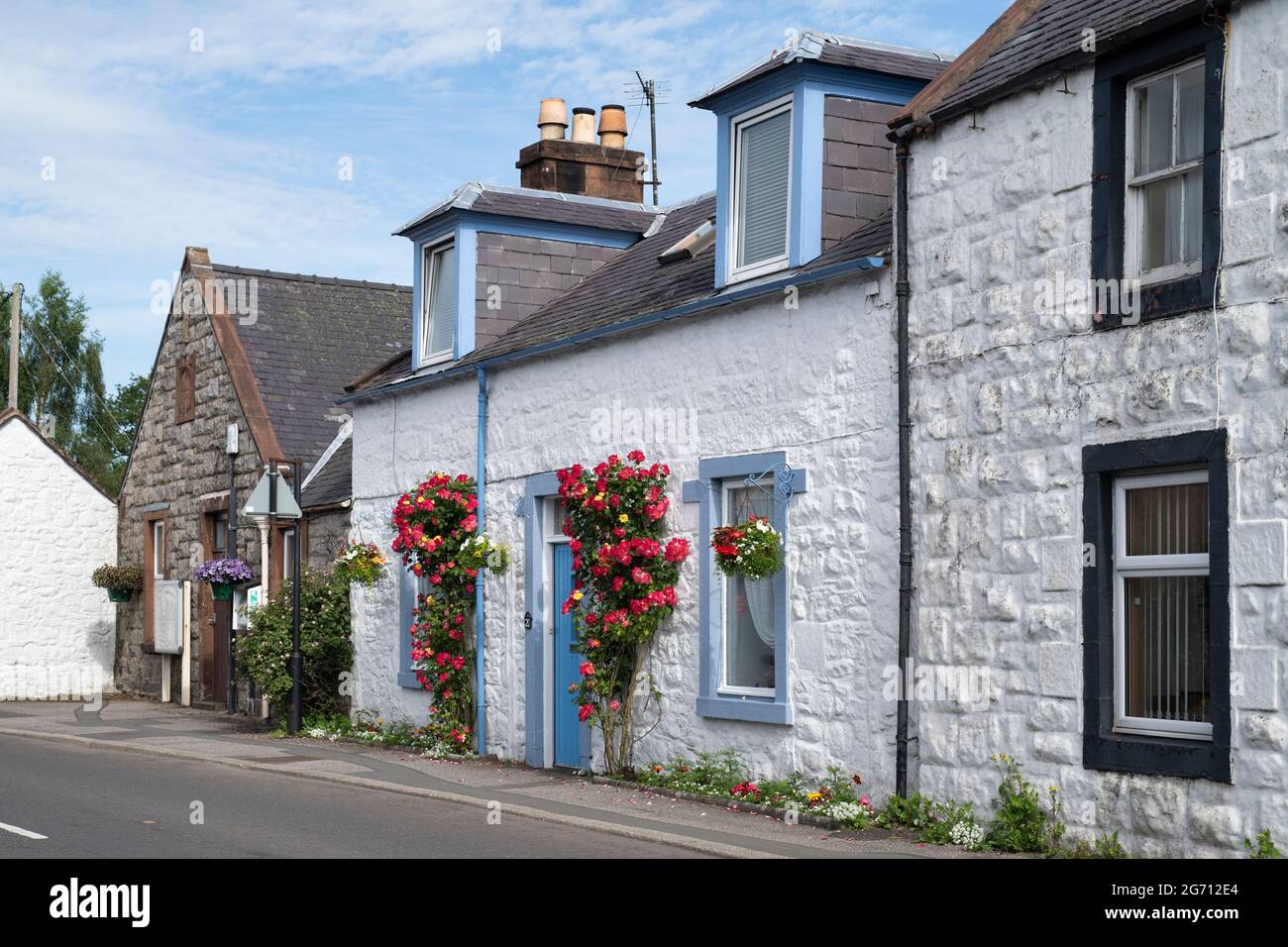 Roses fuori dalla porta di un cottage scozzese. New Abbey, Dumfries e Galloway, KirkcudBrightshire, Scozia Foto Stock