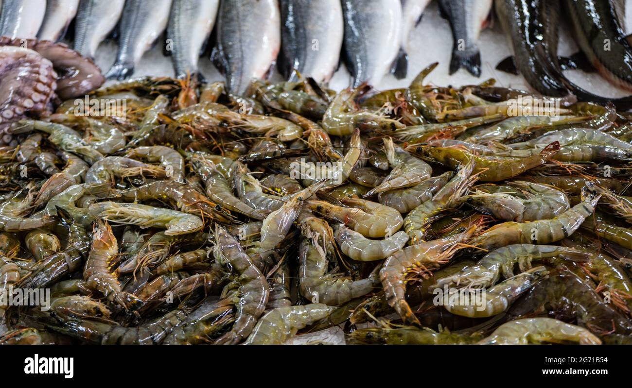 Varietà di gamberetti comuni sul mercato del pesce di Batumi Foto Stock