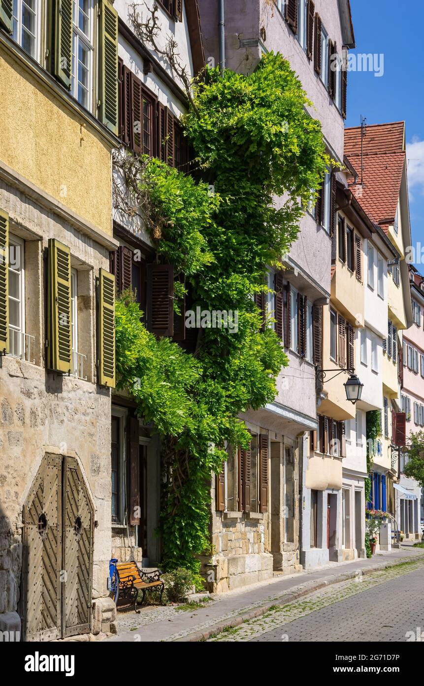 Tübingen, Baden-Württemberg, Germania: Scena stradale senza persone in via Neckahalde nella città vecchia. Foto Stock