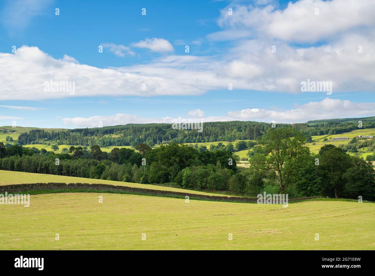 Campagna scozzese a Dumfries e Galloway, Scozia Foto Stock