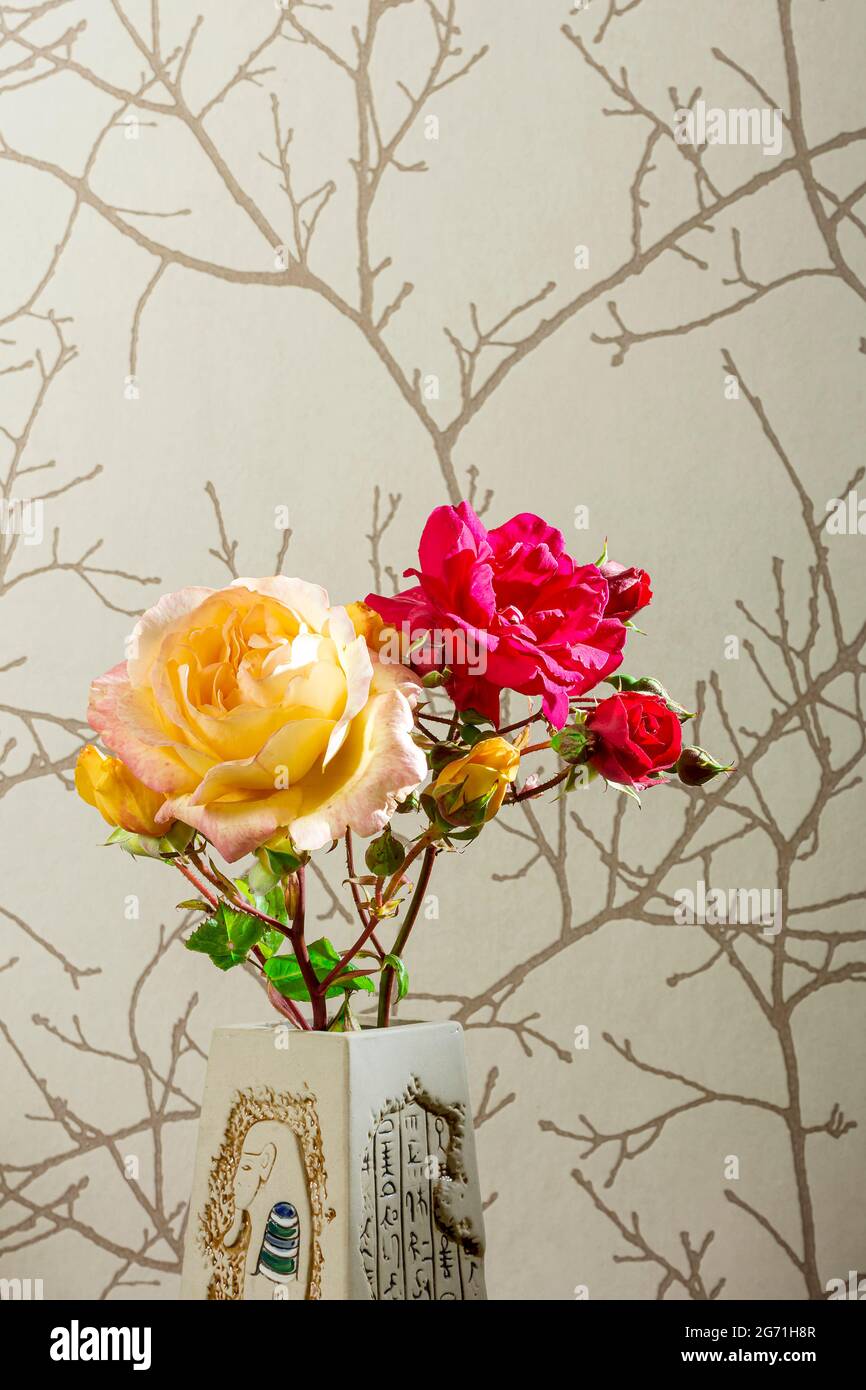 Foto di un vaso con una rosa naturale rossa e gialla.la foto ha uno spazio di copia per mettere il testo o qualsiasi cosa si desidera e si intende per essere una vera immagine di som Foto Stock