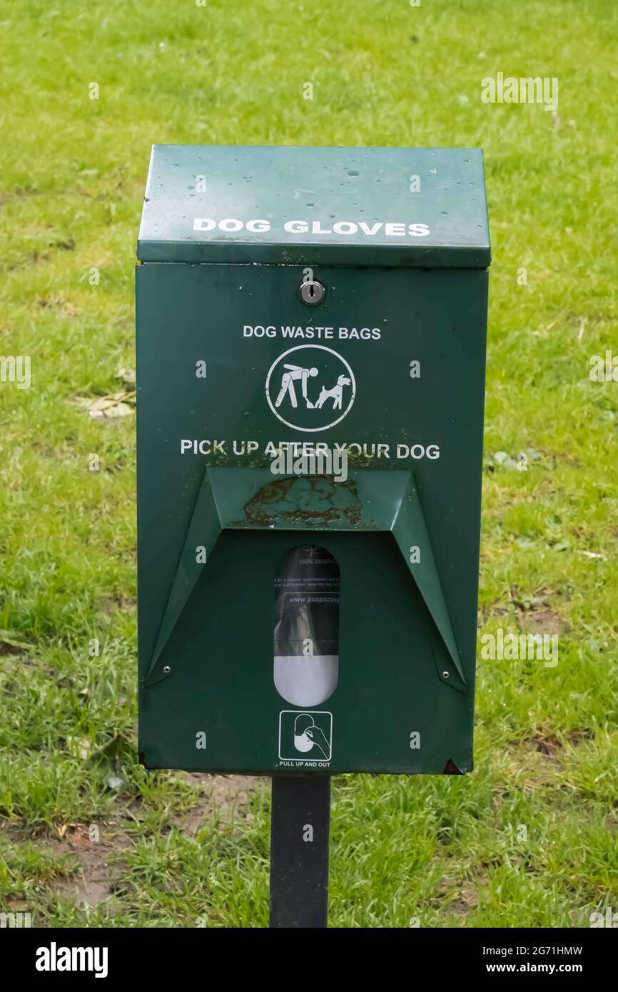 I sacchetti forniti dal consiglio locale puliscono in su dopo i vostri sacchetti del cane in un parco Foto Stock