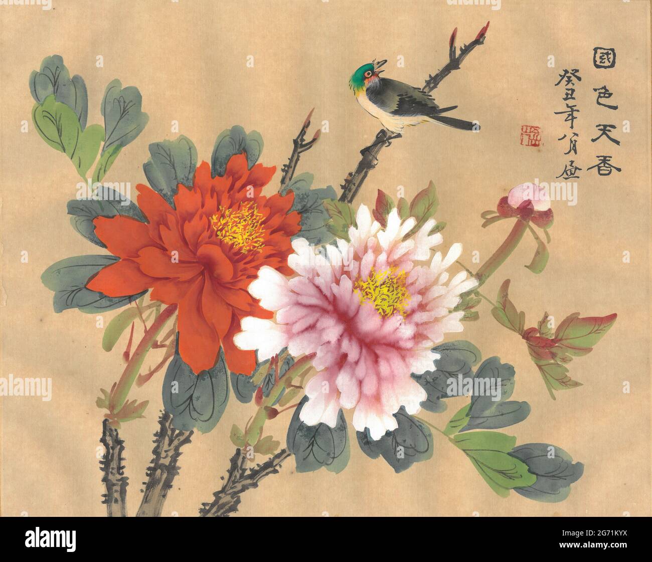 Dipinto originale cinese su seta di peonie in piena fioritura e un uccello colorato che canta su un ramo. Foto Stock