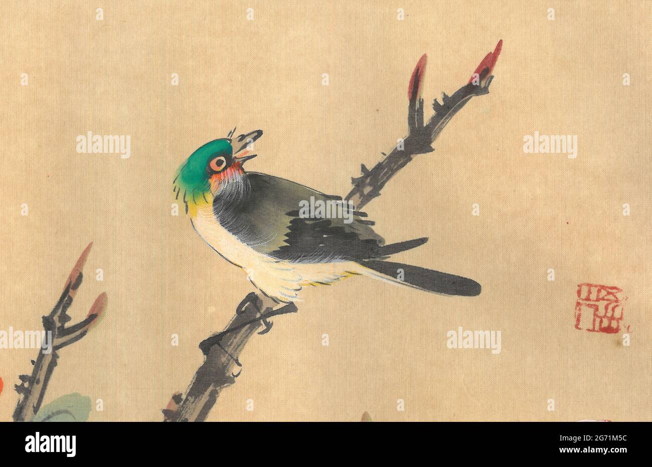 Dipinto originale cinese su seta di peonie in piena fioritura e un uccello colorato che canta su un ramo. Foto Stock
