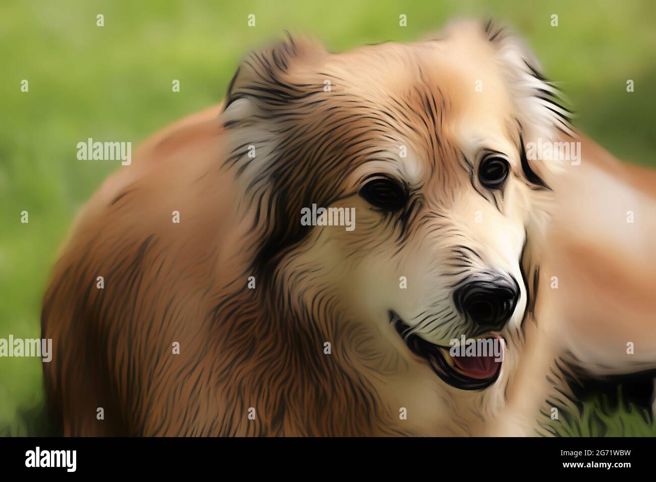 Ritratto di un cane di razza mista della Romania in giardino in primavera nello stile di un disegno morbido con vernici acriliche Foto Stock