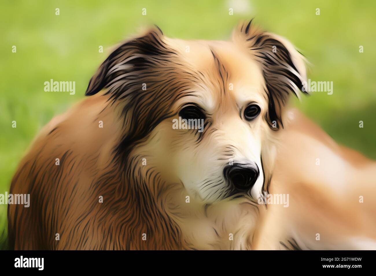 Ritratto di un cane di razza mista della Romania in giardino in primavera nello stile di un disegno morbido con vernici acriliche Foto Stock