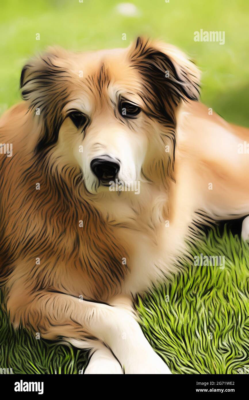 Ritratto di un cane di razza mista della Romania in giardino in primavera nello stile di un disegno morbido con vernici acriliche Foto Stock